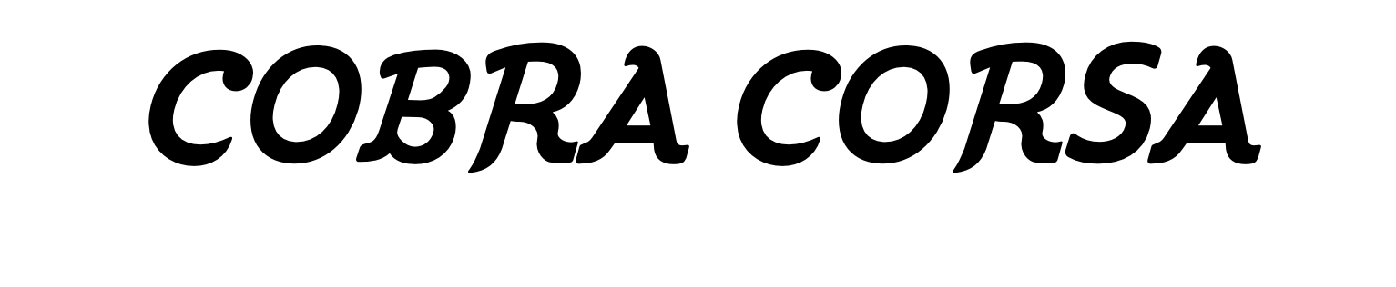 COBRA CORSA logo